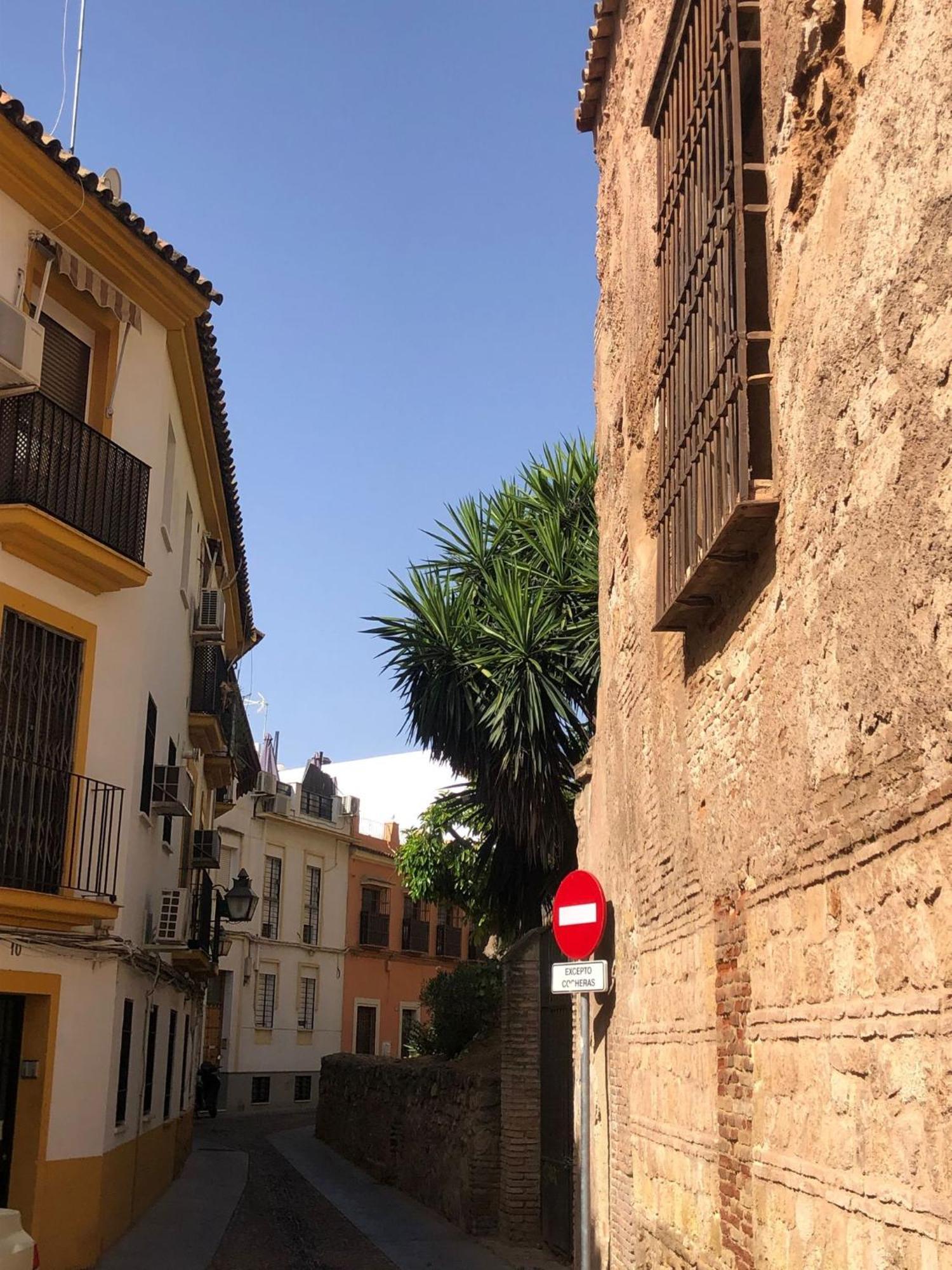 Apto Familiar Balcones A La Muralla 科爾多瓦 外观 照片